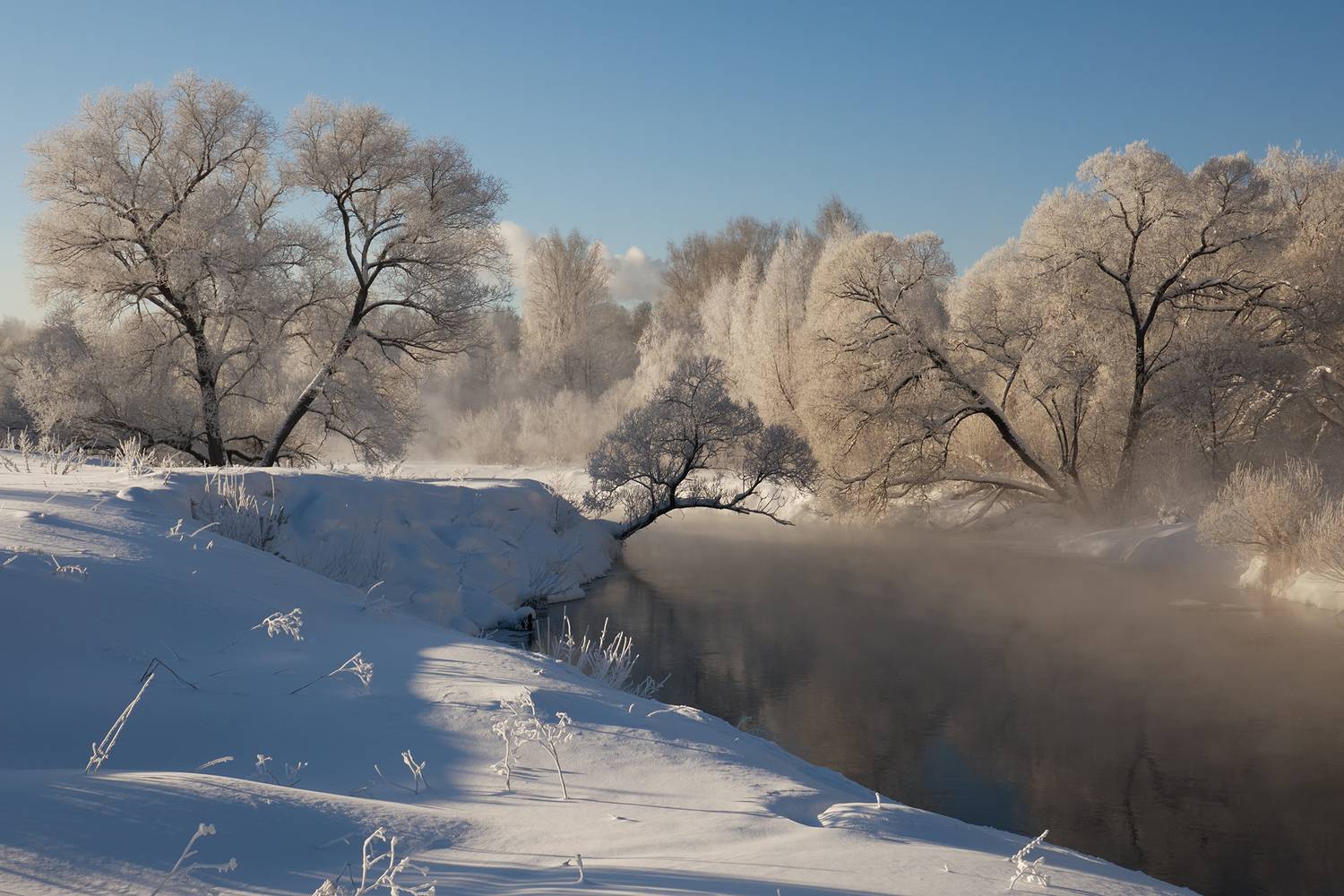 река истра, мороз, иней, Медведев Александр