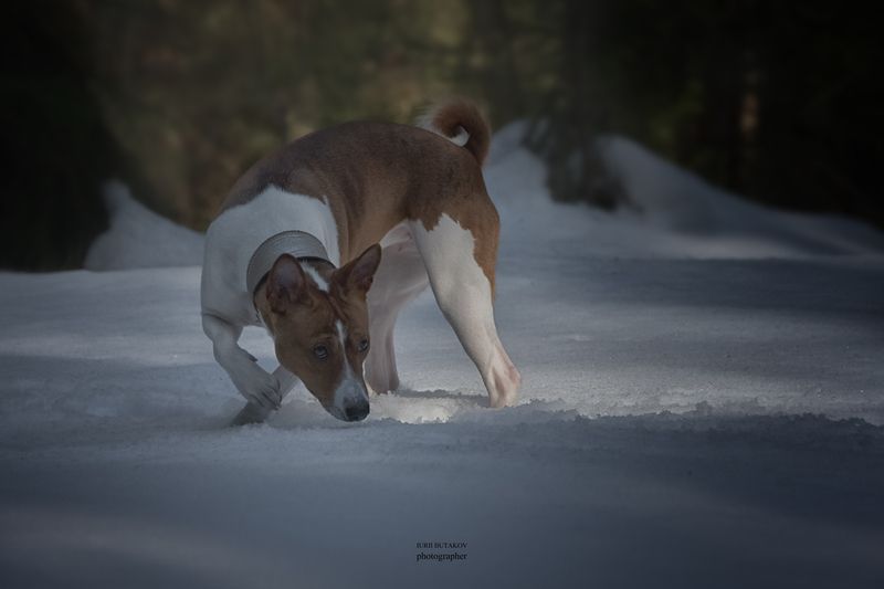 Дуся фото превью