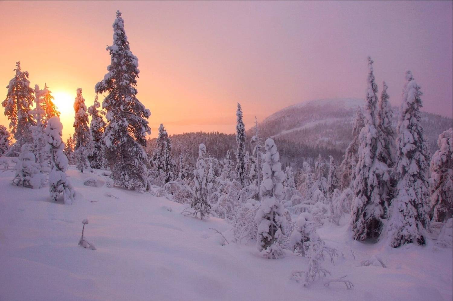 , Петр Косых