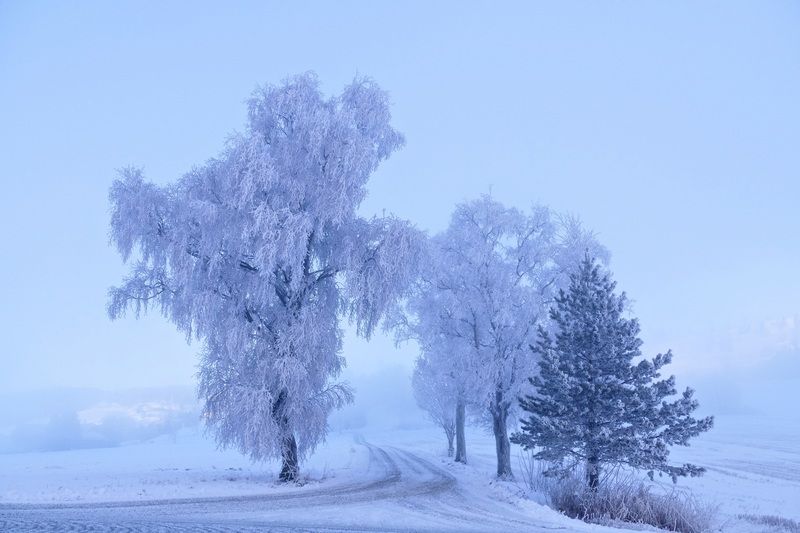 На повороте зимы фото превью