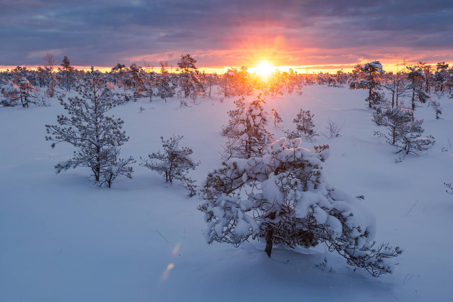 #kemeri #bog #winter #morning, Гордон Николай