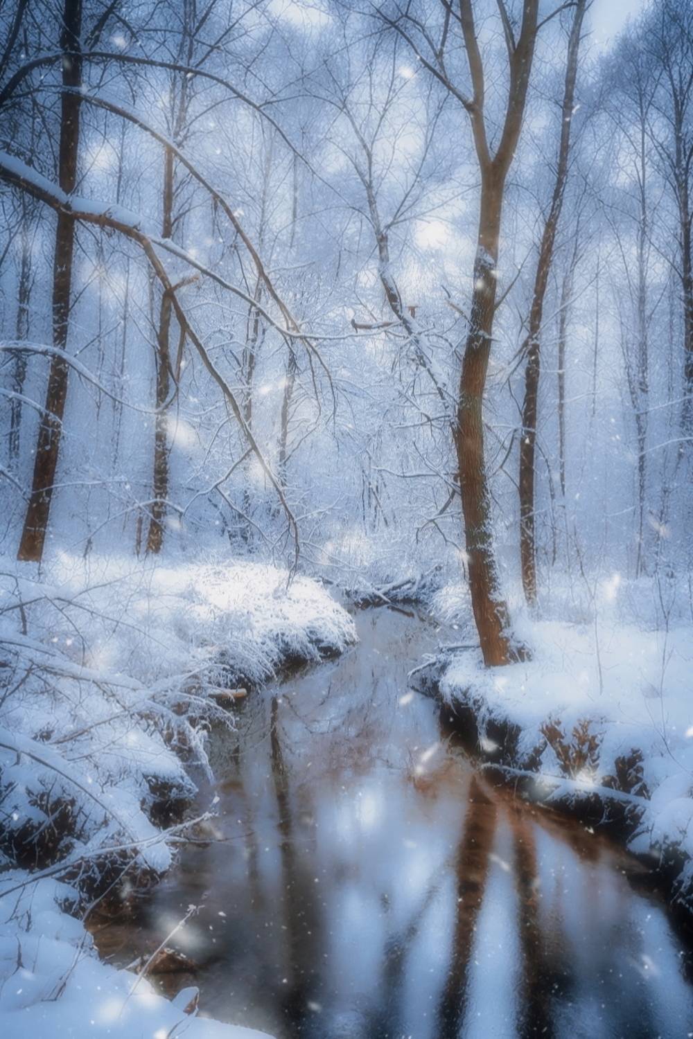 зима, winter, landscape, природа, nature, пейзаж, лес, forest, Julia Kaissa