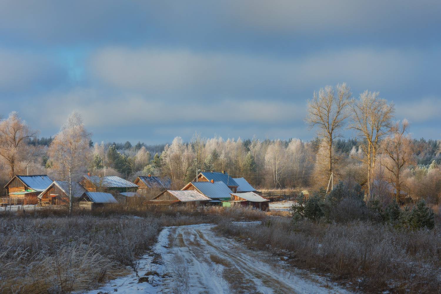 мороз иней февраль лес деревня беляиха вязниковский район, Алексеев Дмитрий