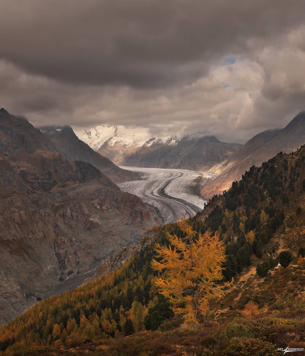 swiss, Матвеев Николай