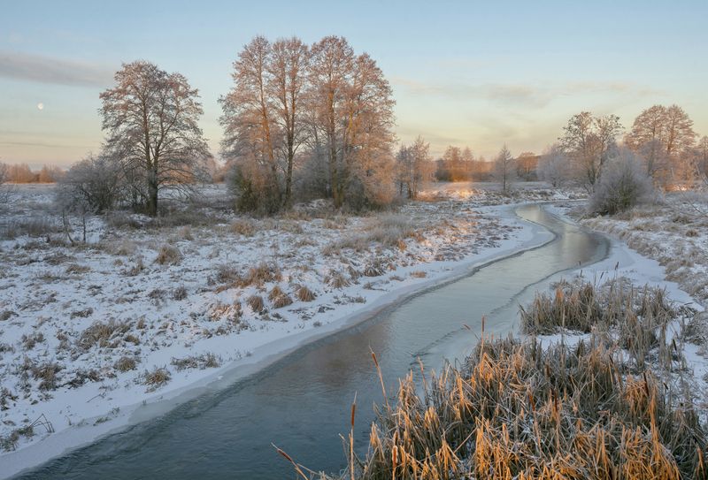 зима, лань, утро, мороз, беларусь Вот такая зима.... фото превью