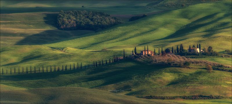 italy,san quirico d\\\'orcia,italia,италия,тоскана,pienza,кипарис,toscana,осень,tuscany,cipressi,belvedere,пьенца,тени,rural,холмы Бархатные холмы фото превью
