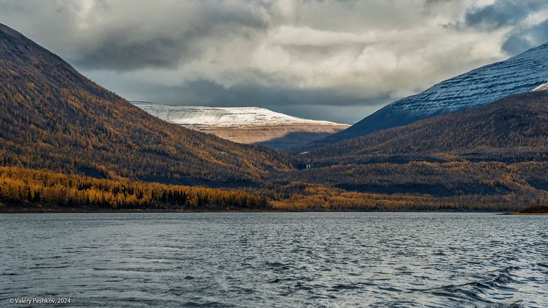 озеро дюпкун, плато путорана, осень, курейка, предзимье, лиственницы, таймыр, заполярье, владимир коваль Дюпкун, дорога домой фото превью