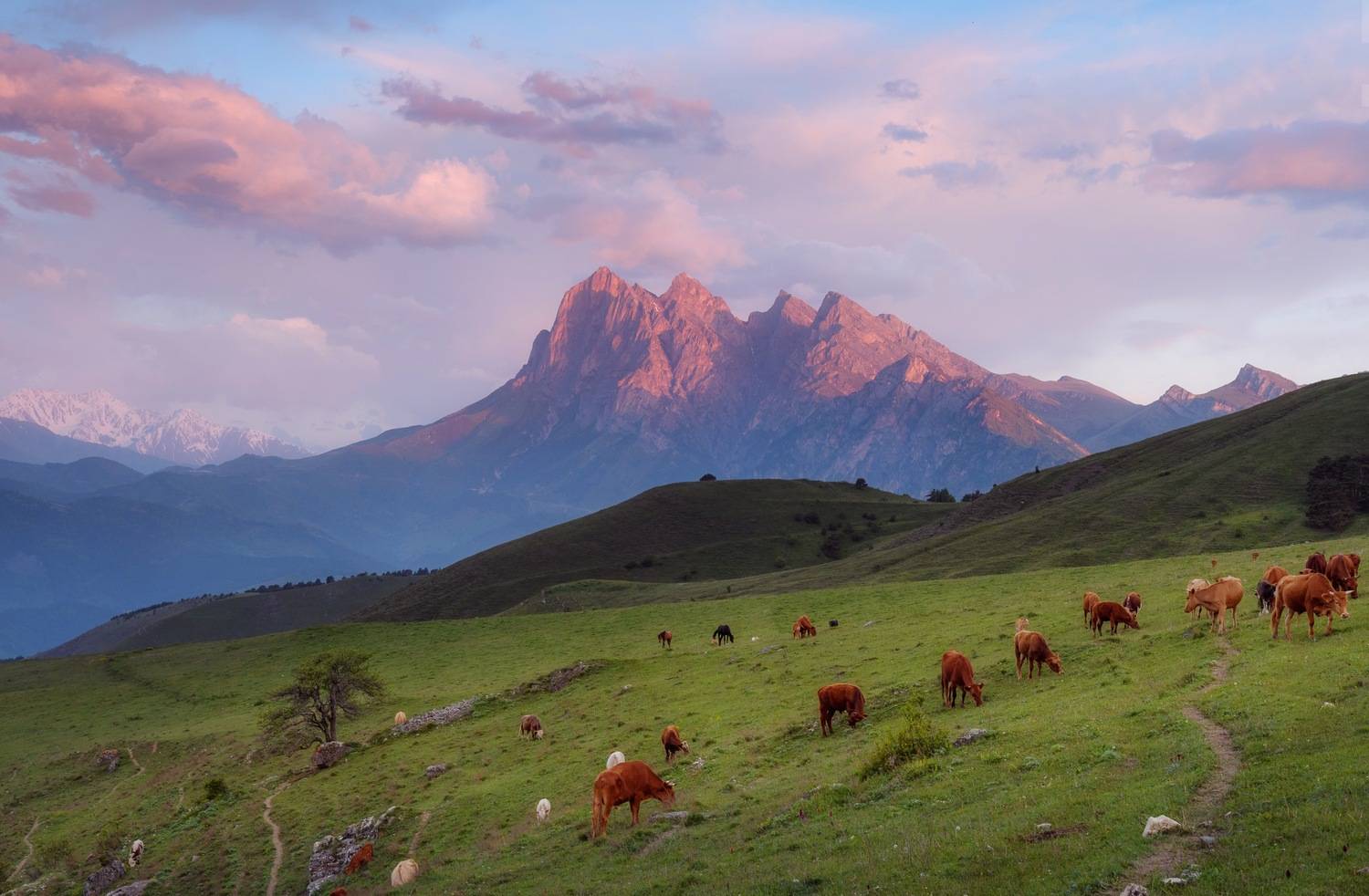 ингушетия, цей-лоам, утро, Студнев Сергей