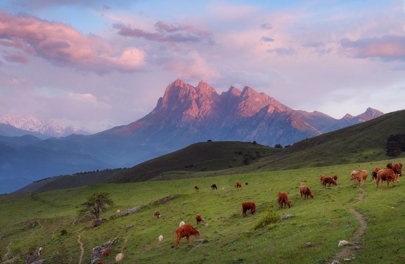 ингушетия, цей-лоам, утро Рассвет с видом на Цей-Лоам фото превью