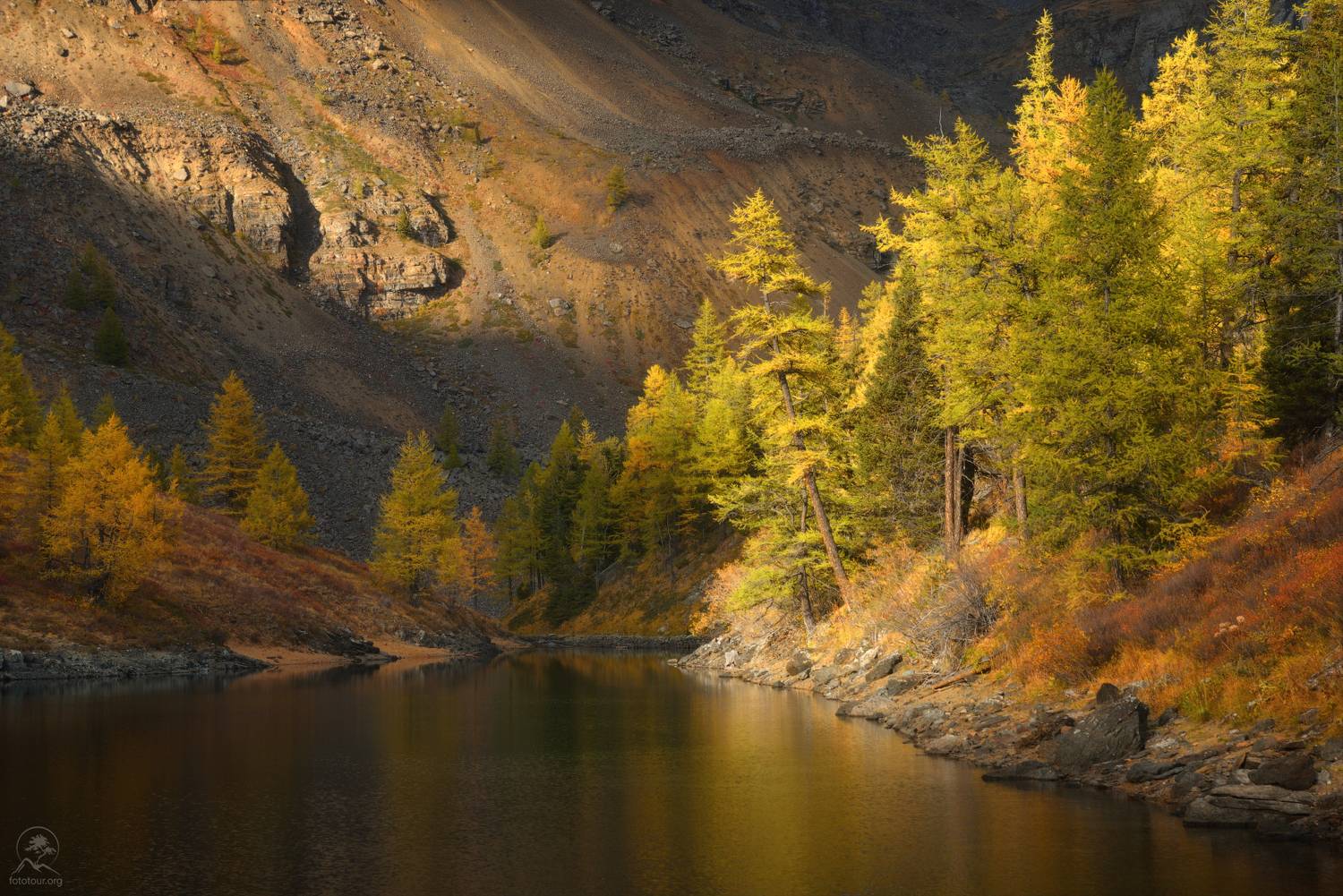 осень, алтай, горный алтай, горы, озера, лиственница, фототур на алтай осенью, фототуры 2025, Гордиенко Анатолий