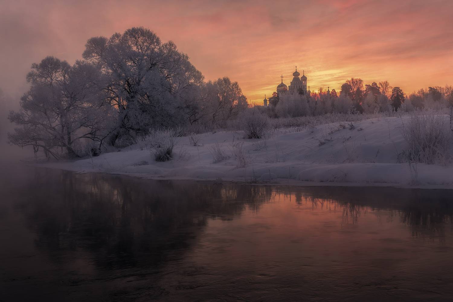 истра, Гусева Елена