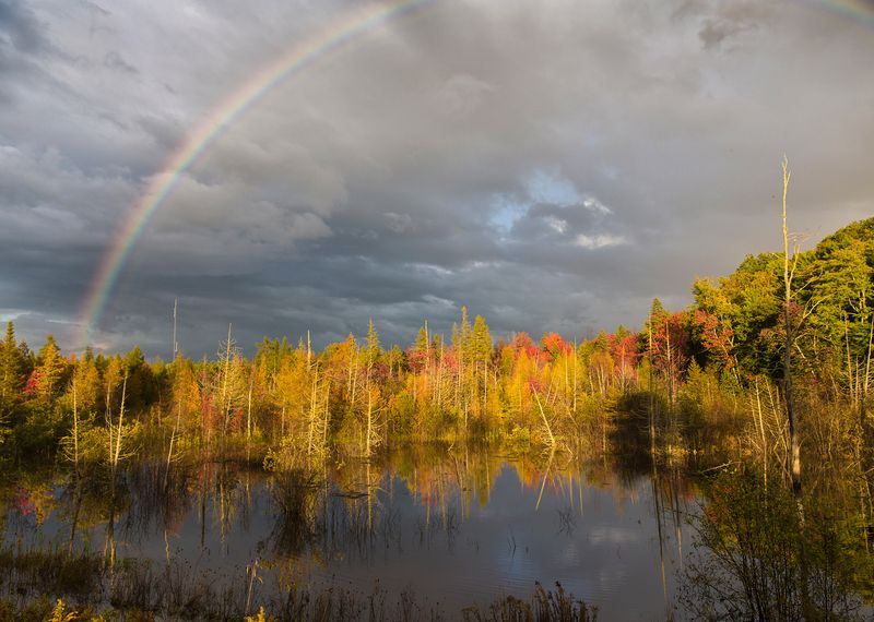 Rainbow фото превью