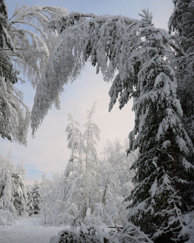 новгородская область, *** фото превью