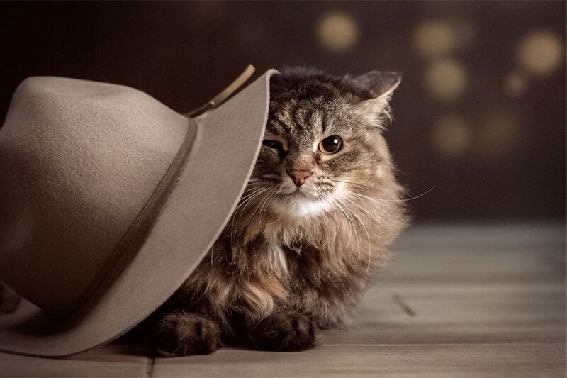 фото превью