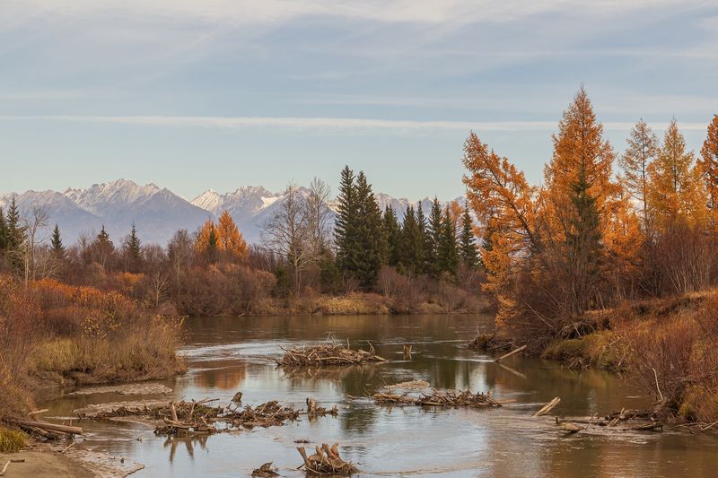 Осени ушедшей красота фото превью