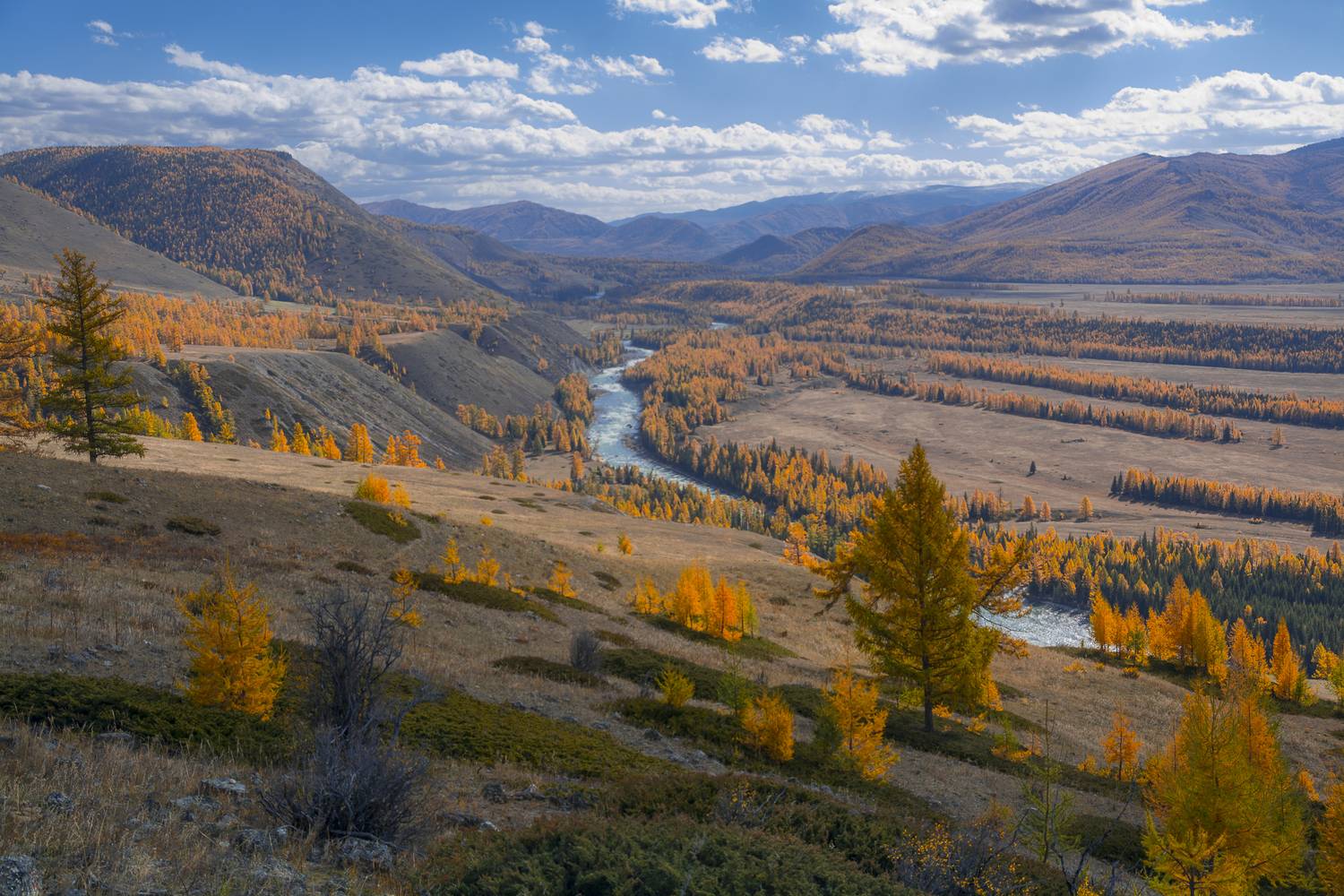 россия, горный алтай,осень, Поляков Андрей