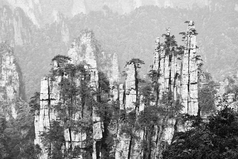 Пики Аватара фото превью