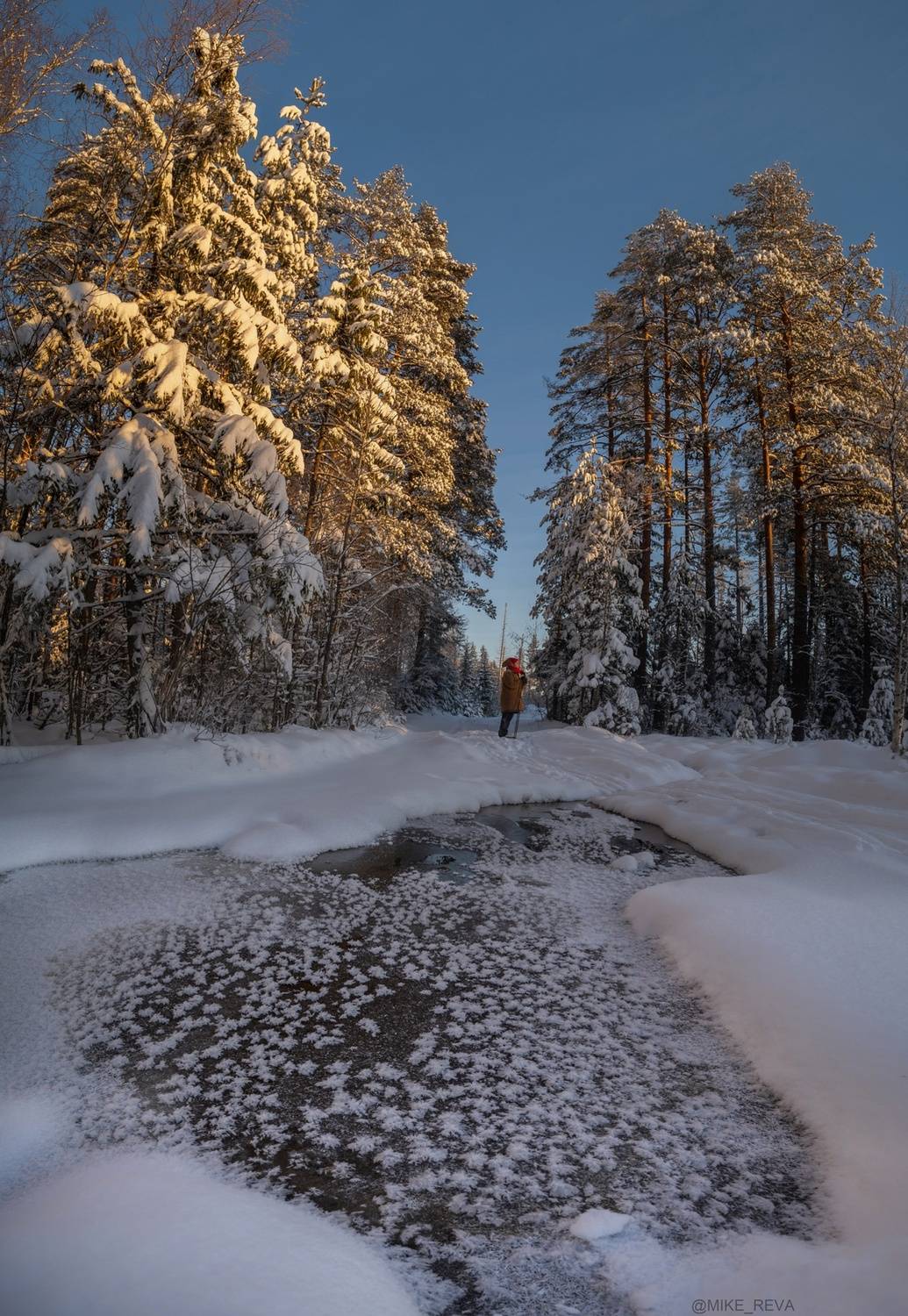 , Михаил Рева