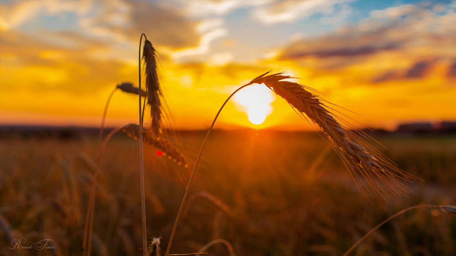 , Фотов Ренат