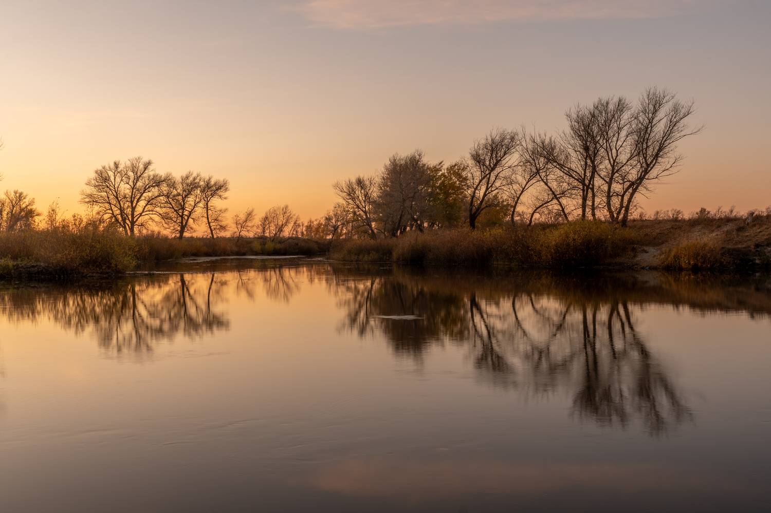 , Карамышева Дарья