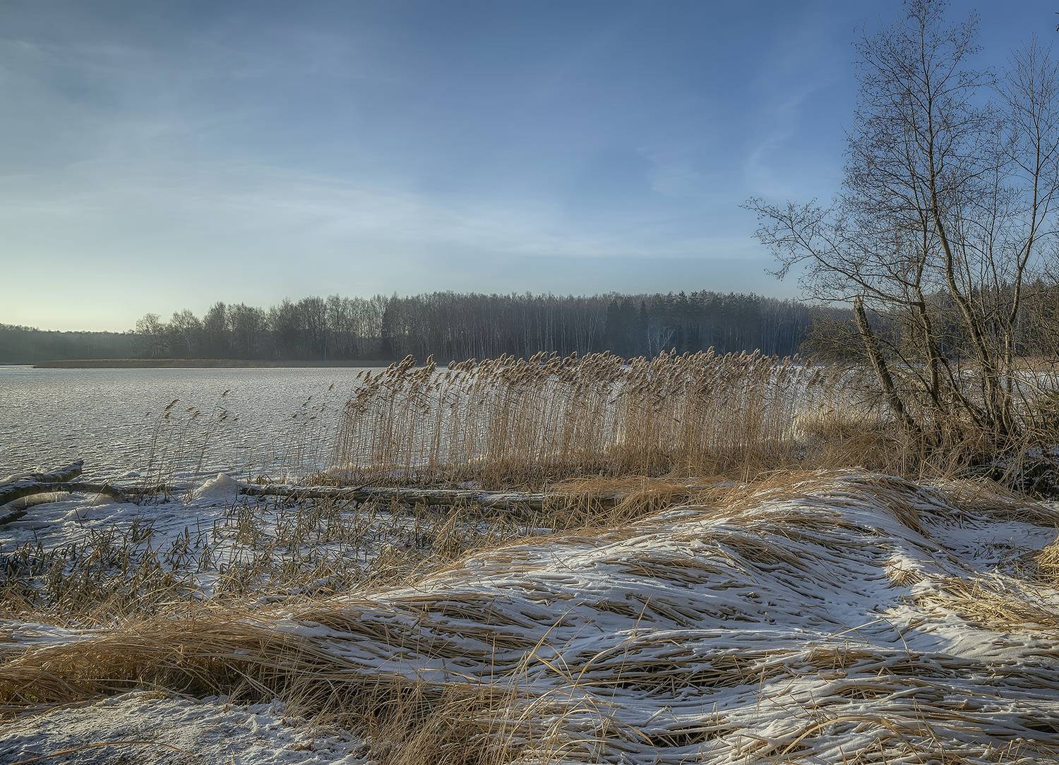 , Сергей Аникин
