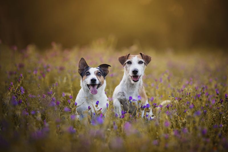 Kuka&Mel фото превью