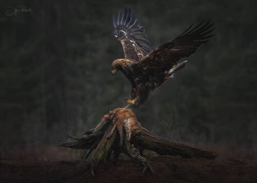 Танец Валькирии