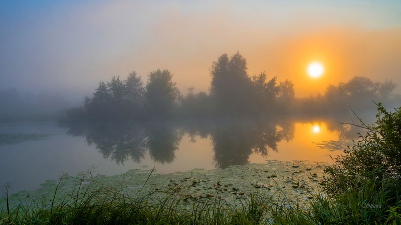 Утро туманное. фото превью