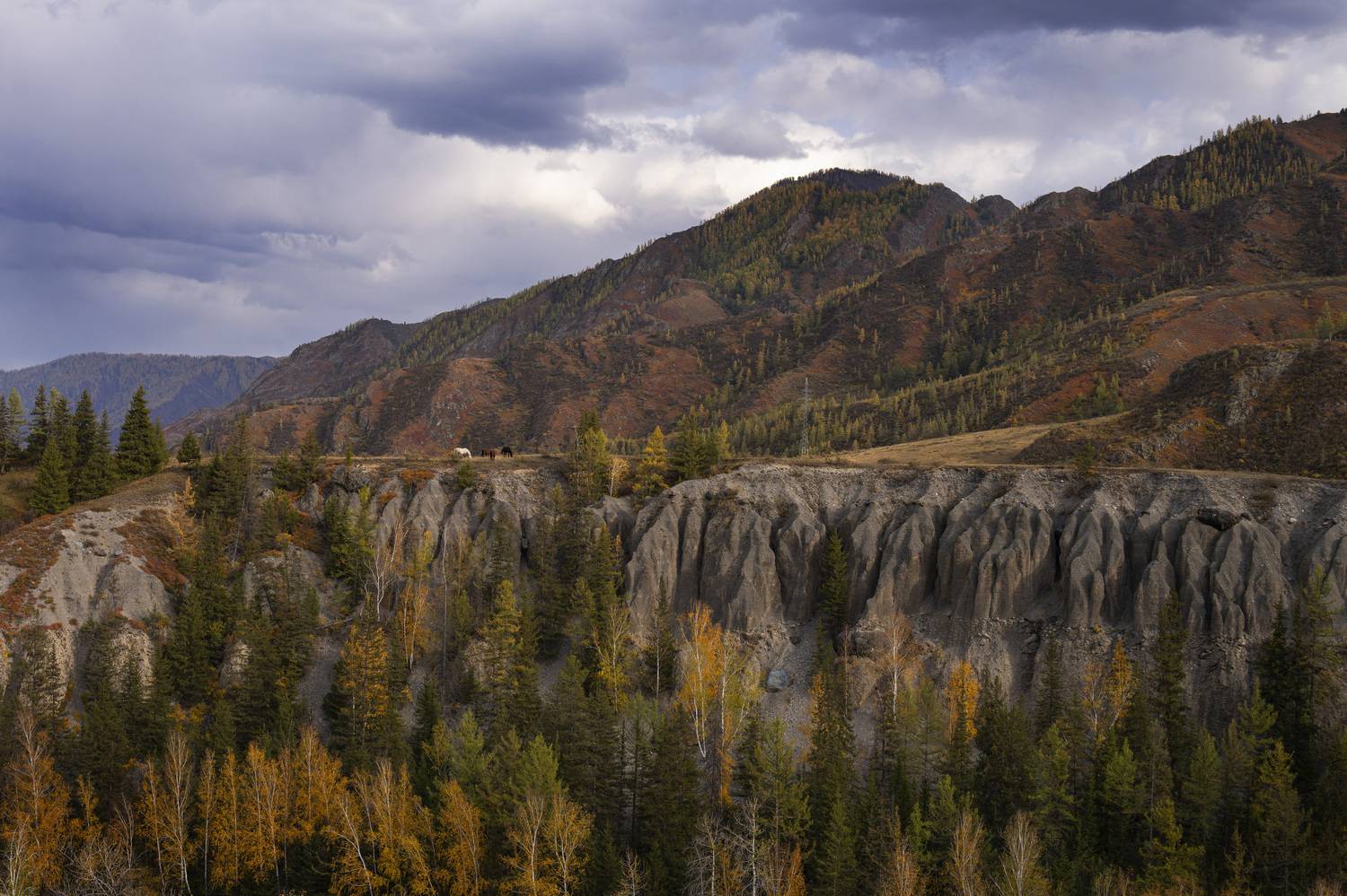 берег, пейзаж, Алтай, Галина Дейнекина