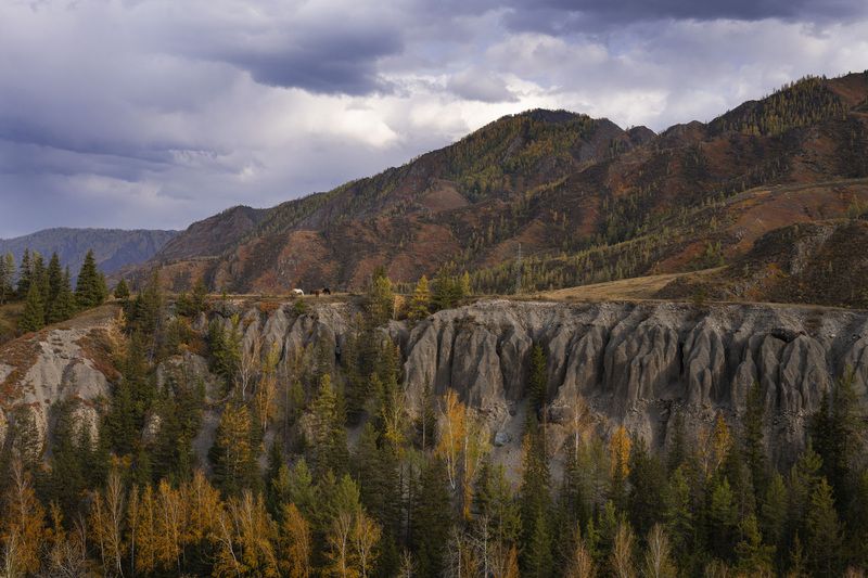 берег, пейзаж, Алтай Берега фото превью
