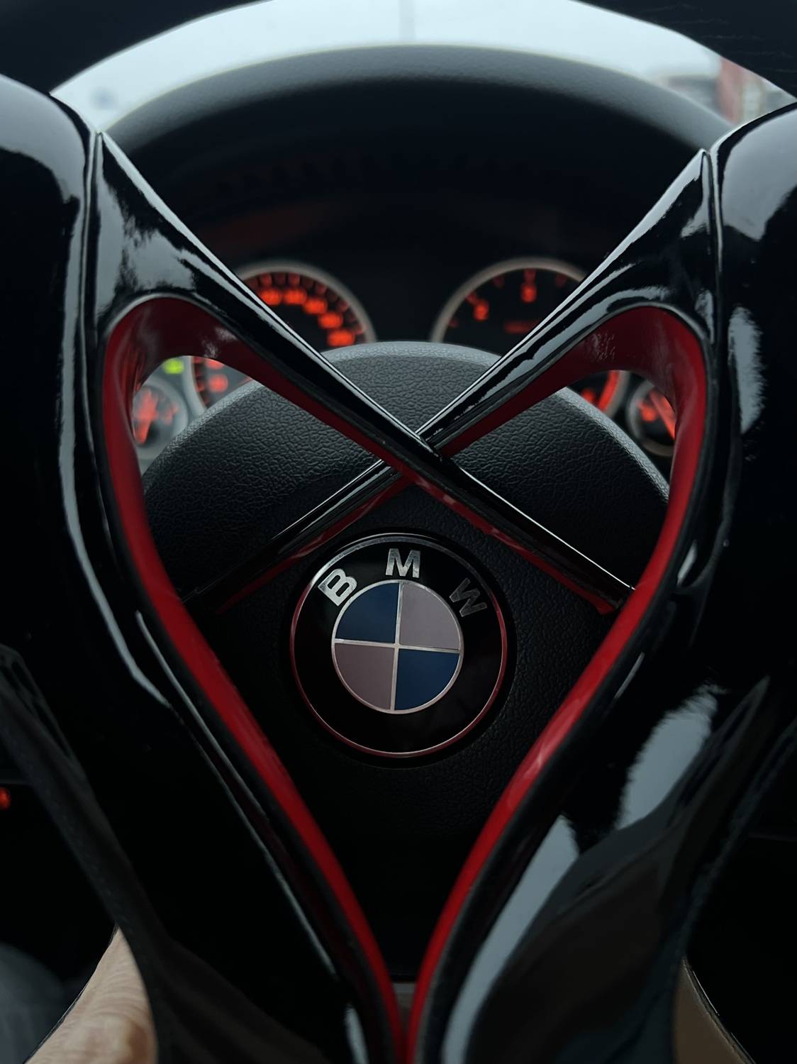 , Светлана Рыбенко