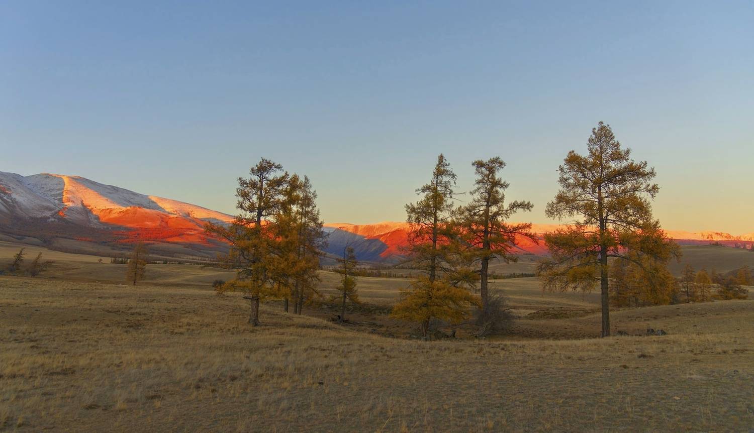 , Вадим Качанов