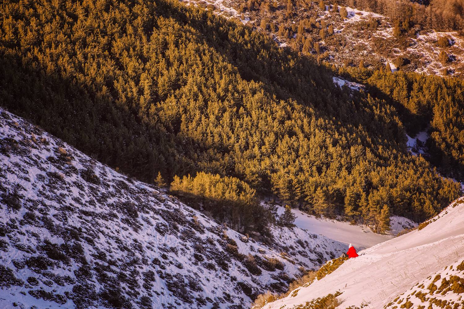 кыргызстан, урочище чункурчак, Элина Магалимова