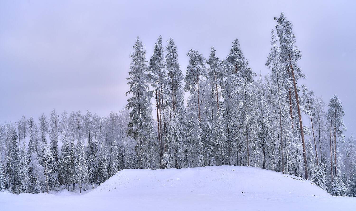, Борис Дацковский