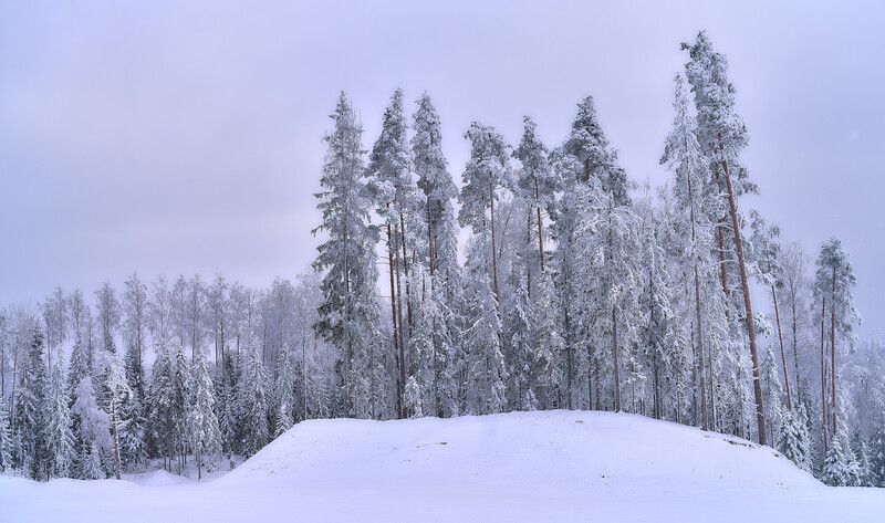 Любогорье. Новгор.обл. фото превью