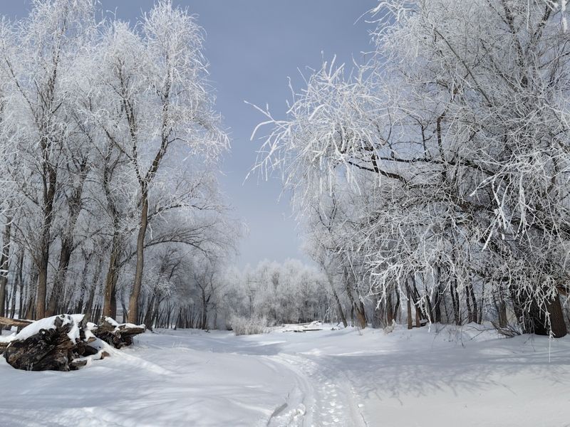 В городе иней фото превью