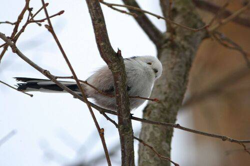 Взгляд с высока