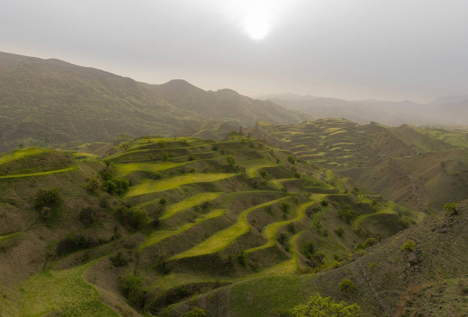 , Ширгин Сергей