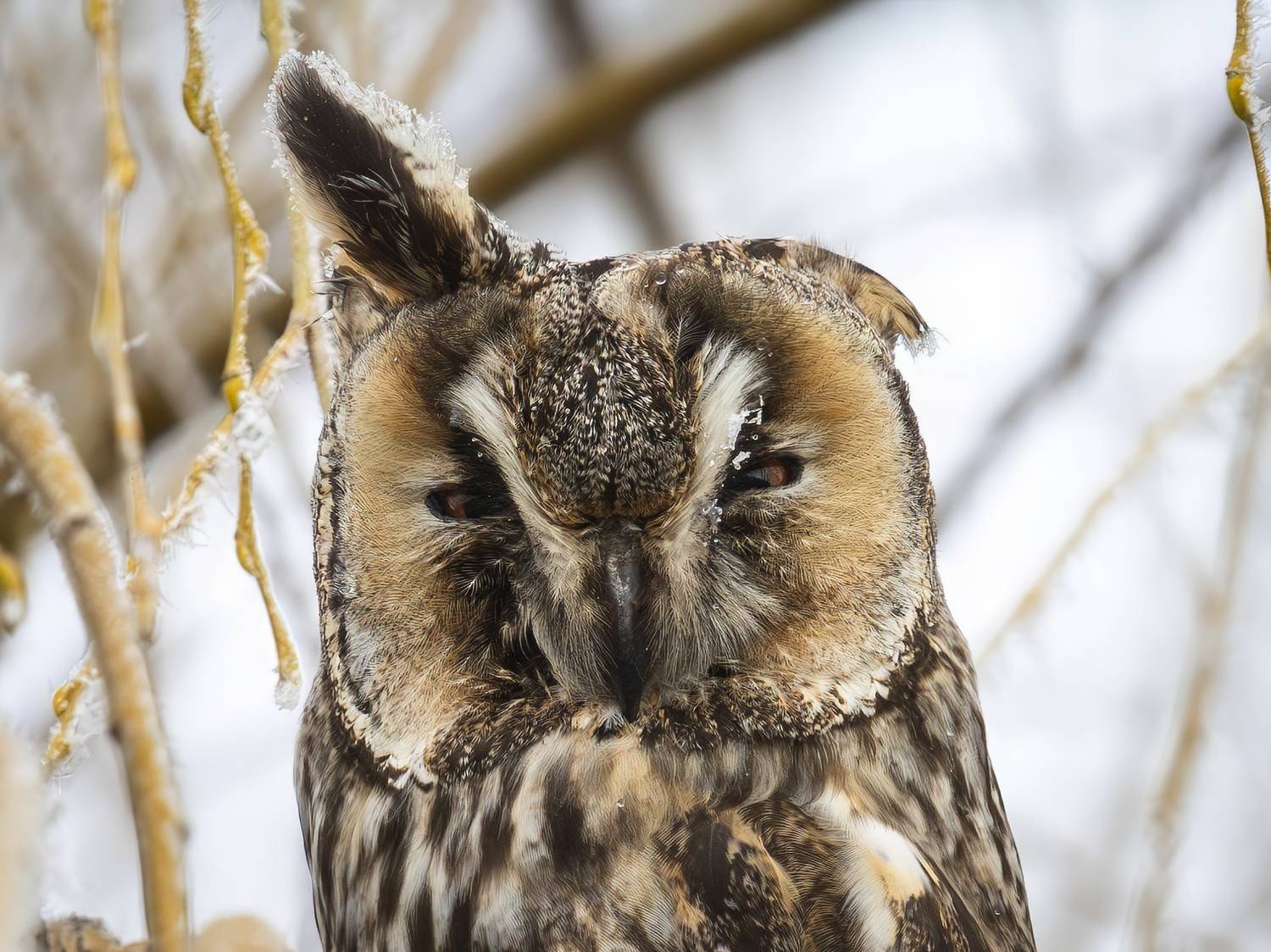 , Римма Герасименко