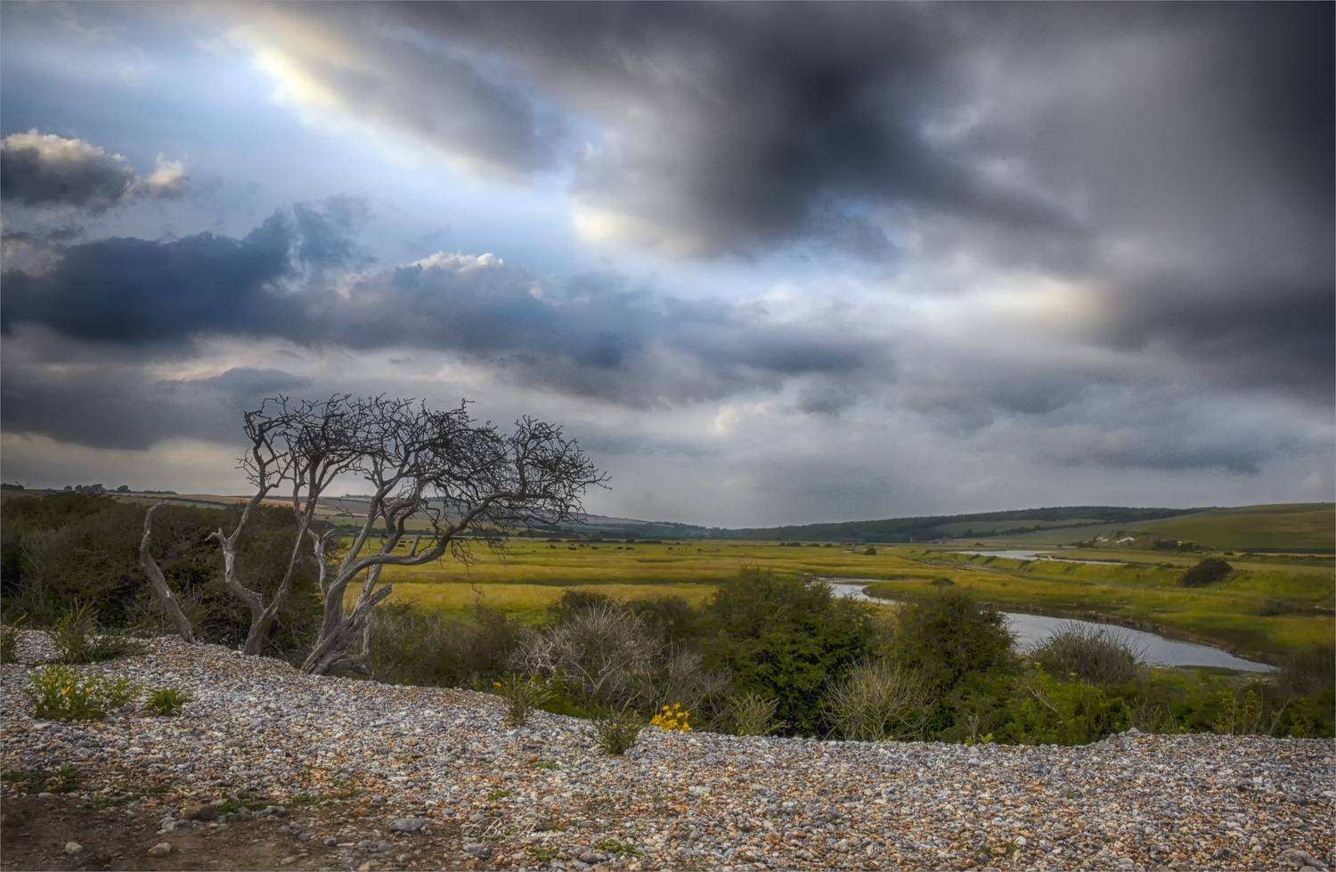 дерево холмы река долина, Вера Петри