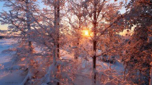 Кружево Зимы