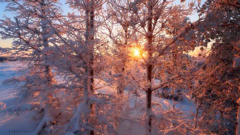 карелия, зима, снег, мороз, хийденвуори, деревья, солнце Кружево Зимы фото превью