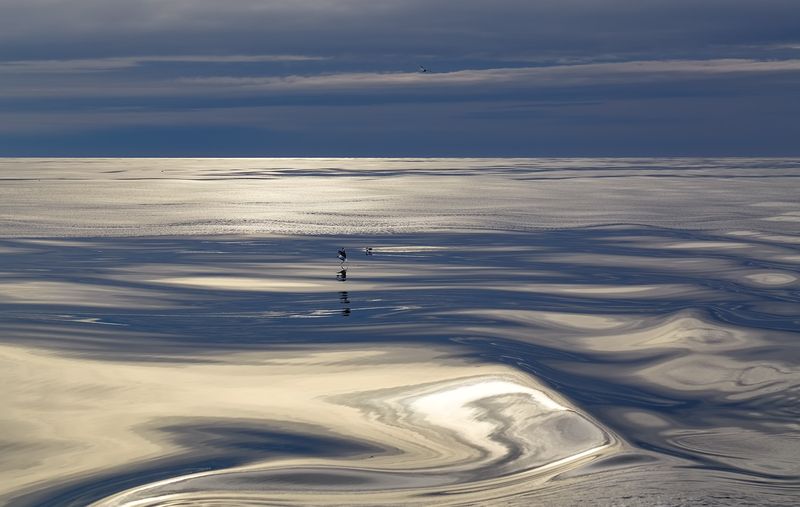 охотское море, весна, штиль, чайки, вечер, шуга Blue Horizon 2 фото превью