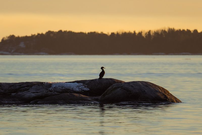 балтийское море, шхеры, архипелаг, швеция На закате фото превью