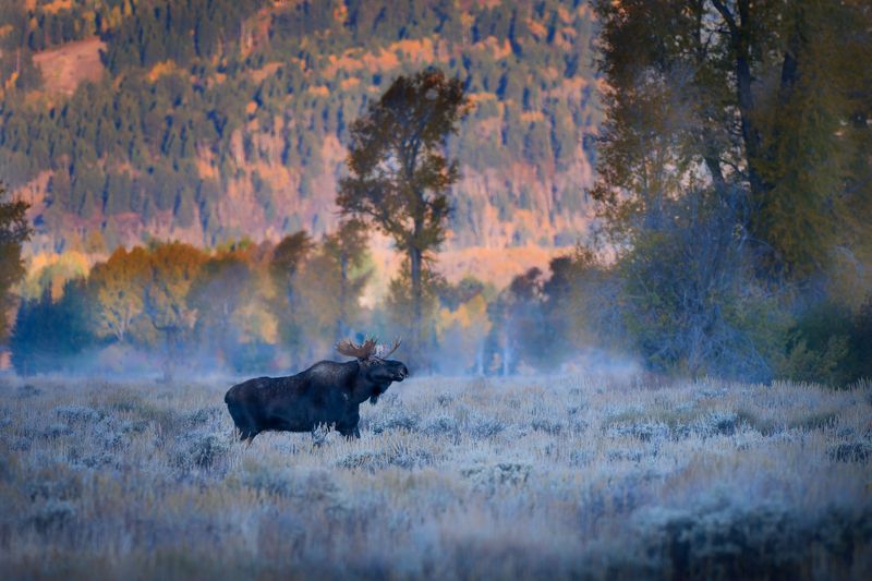 Генератор тумана фото превью