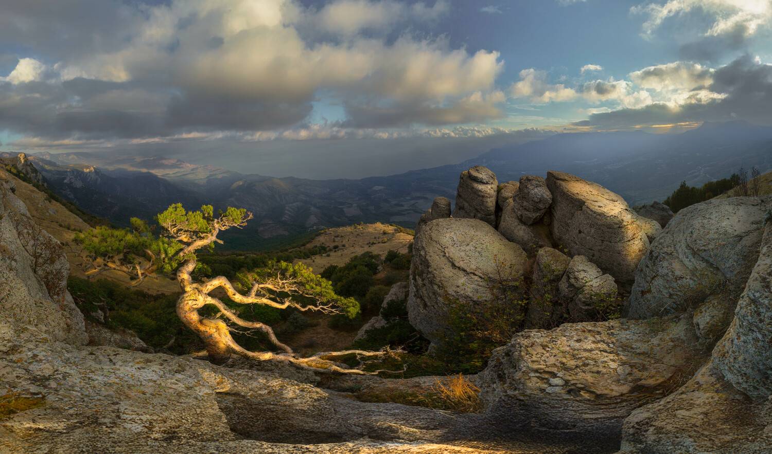 крым, демерджи, одинокая сосна, аленга, Сулоев Алексей