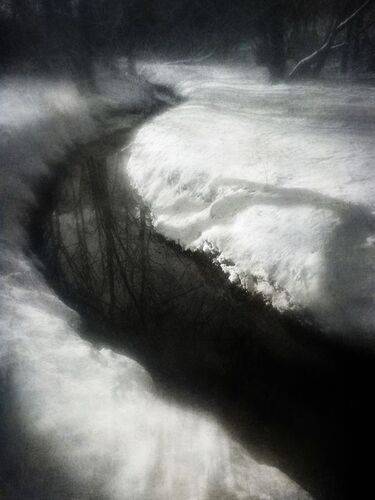 Чёрная на белом.