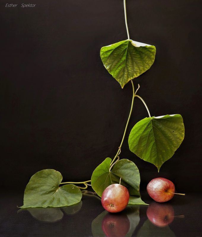 Gravity фото превью