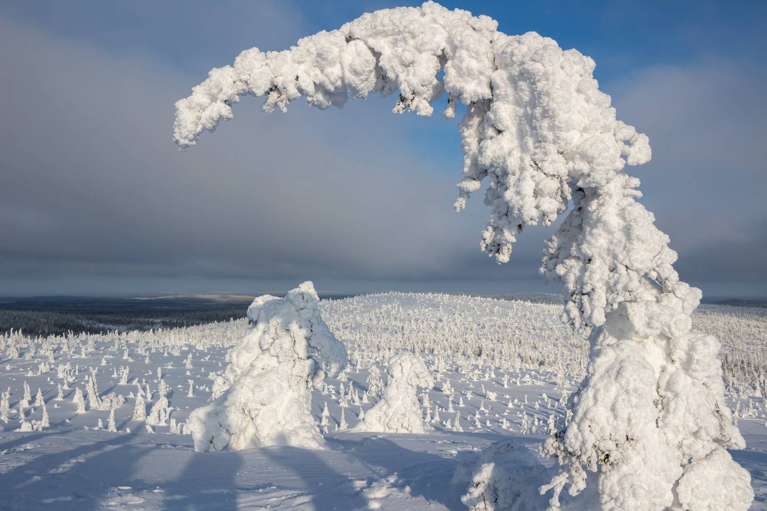 , Вадим Городницкий