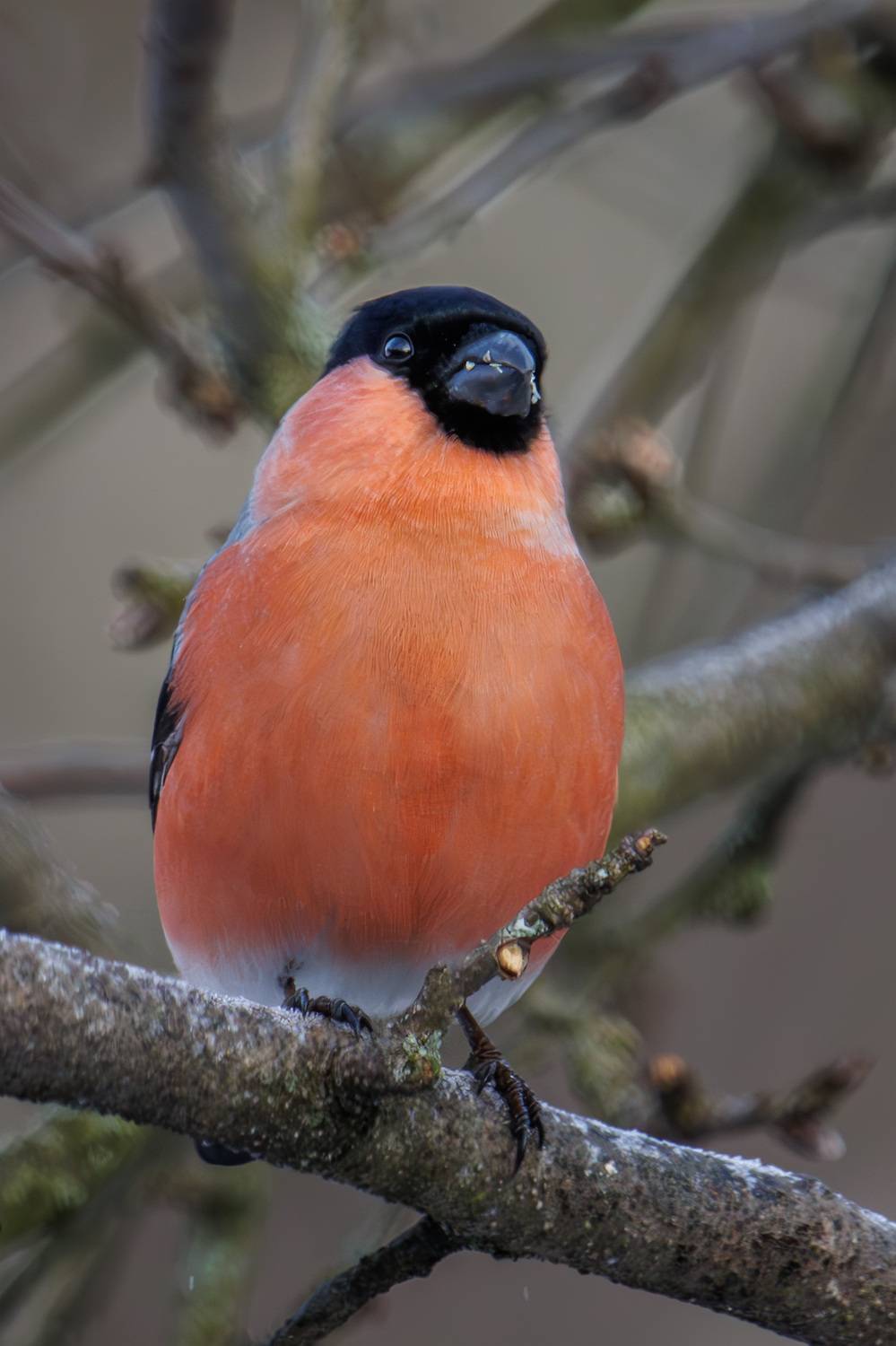 , Морозов Сергей